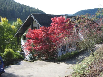 Hauseingang im Herbst