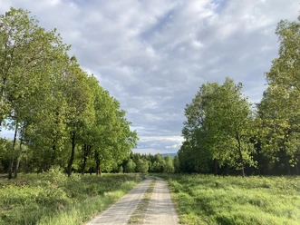 Federbruchmoor-Rundweg Mariendorf