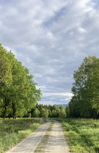Federbruchmoor-Rundweg Mariendorf