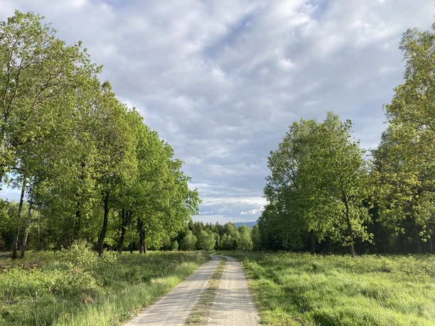 Federbruchmoor-Rundweg Mariendorf