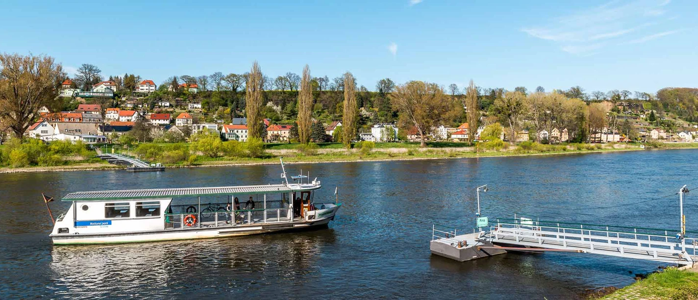 Fähre F9 Pirna Ein weißes Passagierschiff fährt auf einem Fluss, im Hintergrund sind grüne Bäume und bunte Häuser unter einem klaren blauen Himmel zu sehen.