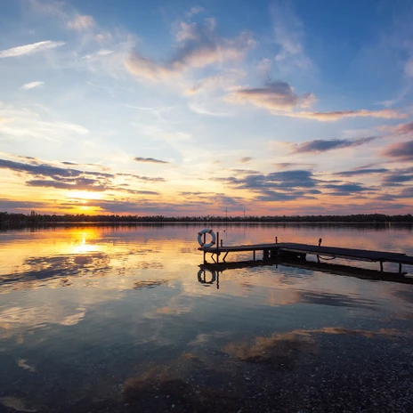 Natur pur am Steg des Kulkwitzer Sees