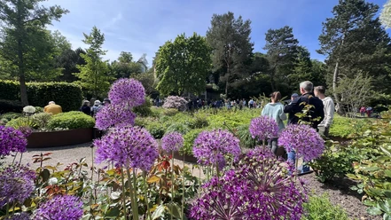 Kurpark Mölln.jpg Eine grüne Parklandschaft mit lila Blüten und Menschen an einem sonnigen Tag im Kurpark Mölln.