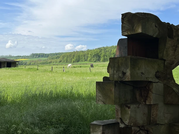 Reise und Heimkehr Grüne Wiese mit einer Skulptur aus Holzstapeln, im Hintergrund weidende Kühe und bewaldete Hügel.