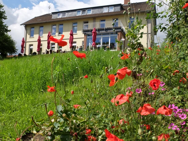 Blick aus dem Heilpflanzengarten auf die Terrasse des Cafés