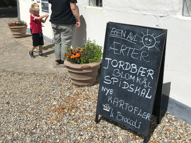 Lindegaarden Lindegaarden