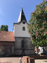 Historische Backstein-Kirche mit imposantem Turm vor strahlend blauem Himmel und blühendem Kastanienbaum.