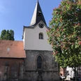Historische Backstein-Kirche mit imposantem Turm vor strahlend blauem Himmel und blühendem Kastanienbaum.