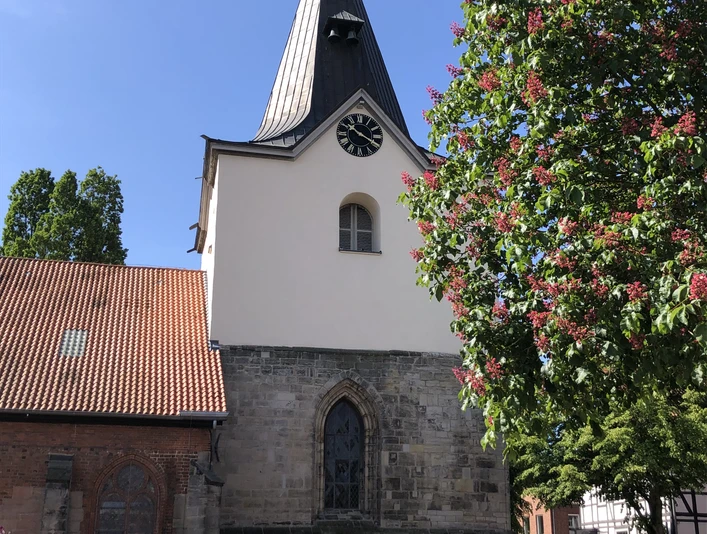 Historische Backstein-Kirche mit imposantem Turm vor strahlend blauem Himmel und blühendem Kastanienbaum.