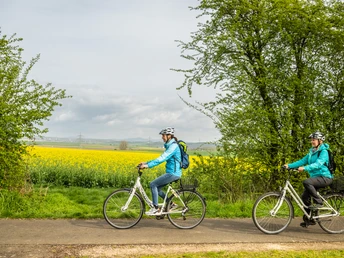 Blühender Raps begleitet die Radfahrer auf dem Maifeld-Radwanderweg ET-2023-021-Mu?nstermaifeld, Maifeld-Radweg- Eifel Tourismus GmbH, Dominik Ketz.jpg