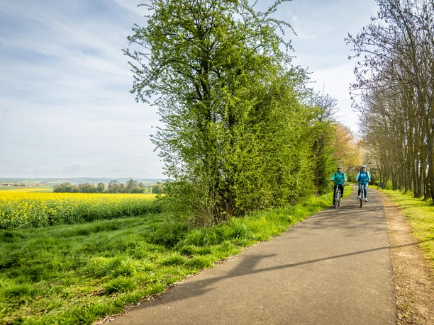 ET-2023-004-Mu?nstermaifeld, Maifeld-Radweg- Eifel Tourismus GmbH, Dominik Ketz.jpg