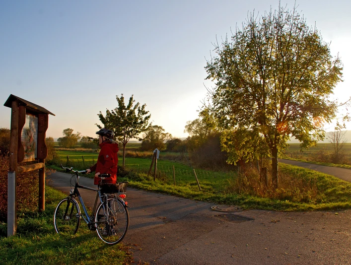 Marbecktal Fahrrad Herbst Gegenlicht