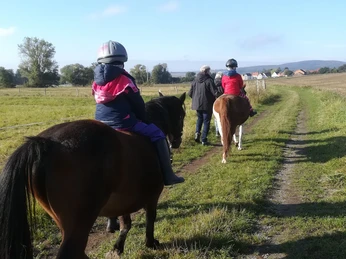 Reit- & Ferienhof Emstal (1).jpg