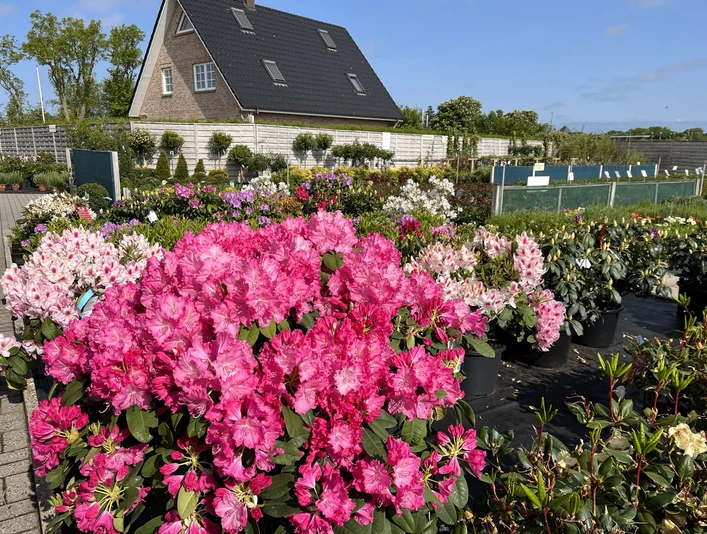 Gartencenter Harms Aussenbereich
