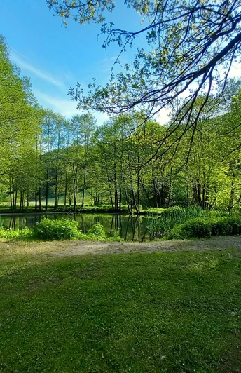 Teich mit Sitzbank an der Grillstation Schwalefeld