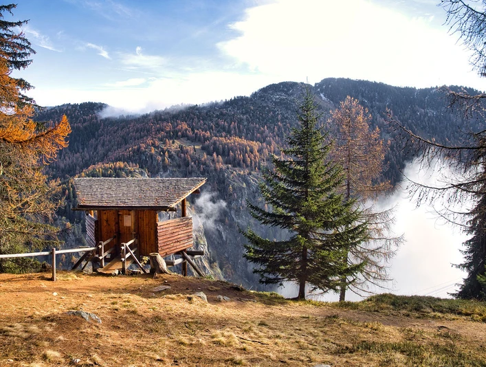 _A300295.jpeg Wildbeobachtungsposten