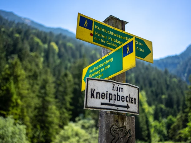 WEhn_240106.jpg 3 Wanderwegweiser, einer davon mit der Aufschrift Kneippbecken, im Hintergrund ist Wald zu sehen