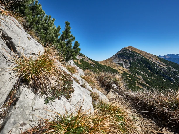 Estergebirge_15102017_082_Brey_Photography.jpg