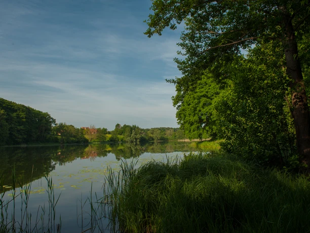 Kleiner Mustiner See