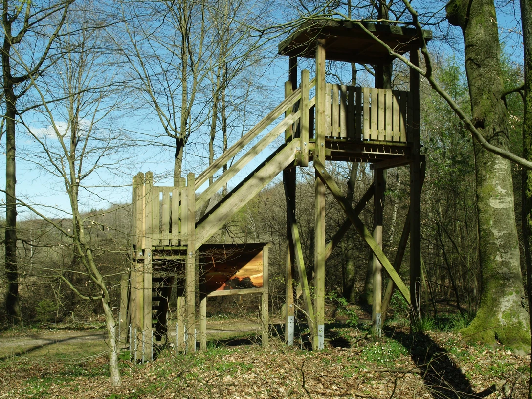 Naturpark Turm Salemer Moor