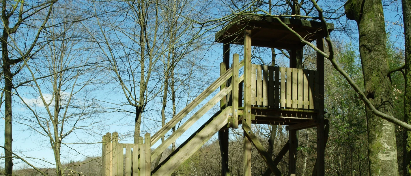 Naturpark Turm Salemer Moor