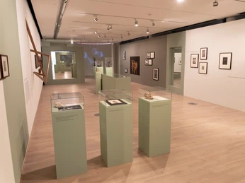 Dance Museum of the German Dance Archive Cologne In einem modernen Museumssaal sind Ausstellungsstücke auf Podesten und Wände mit Bildern zu sehen.Exhibits on pedestals and walls with pictures can be seen in a modern museum hall.