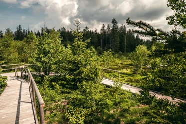 Unterwegs auf dem Lotharpfad