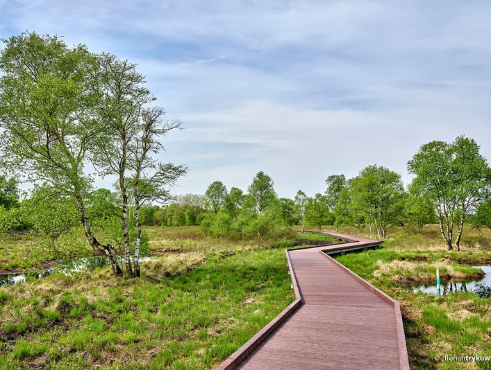 Moorerlebnispfad im Ahlenmoor