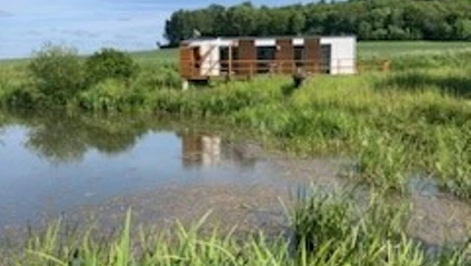 Kleines Holzhaus am Teich, umgeben von grünen Wiesen und dichtem Wald unter blauem Himmel.