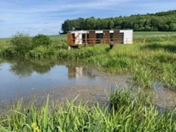 Tiny-Teich-Haus_Beatrix_Boekstegers_Titelbild.jpg Kleines Holzhaus am Teich, umgeben von grünen Wiesen und dichtem Wald unter blauem Himmel.