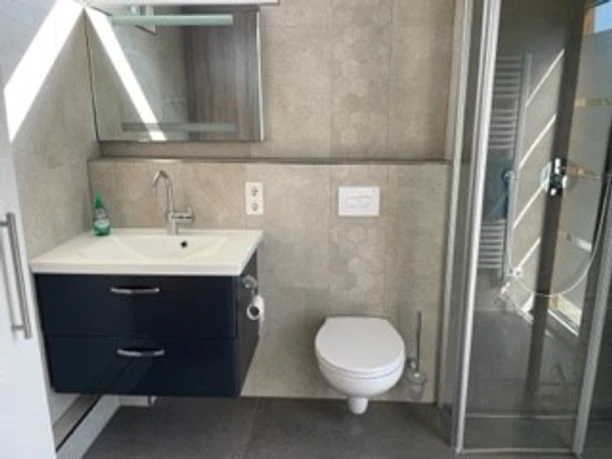 Modernes Badezimmer mit Duschkabine, WC und Waschbecken, Tageslicht von Dachfenster erhellt Raum.