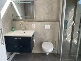 Tiny-Teich-Haus_Beatrix_Boekstegers_2.jpg Modernes Badezimmer mit Duschkabine, WC und Waschbecken, Tageslicht von Dachfenster erhellt Raum.