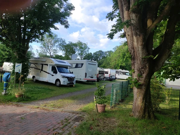Wohnmobilstellplatz Seglertreff Otterndorf Weiße Wohnmobile parken entspannt auf einem grünen Stellplatz unter großen, schattigen Bäumen.