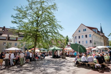 Menschen genießen ein gemeinsames Frühstück an langen Tischen unter schattenspendenden Bäumen.