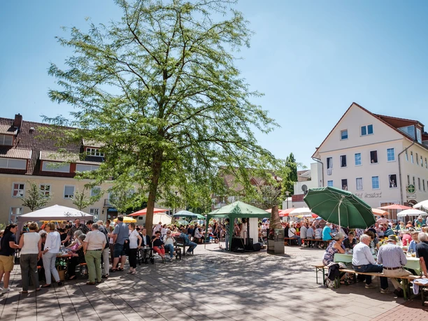 Menschen genießen ein gemeinsames Frühstück an langen Tischen unter schattenspendenden Bäumen.