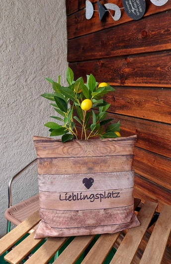 A herzlich`s Willkommen "Grias enk"