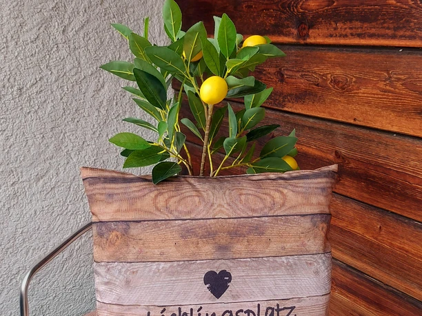 A herzlich`s Willkommen "Grias enk"