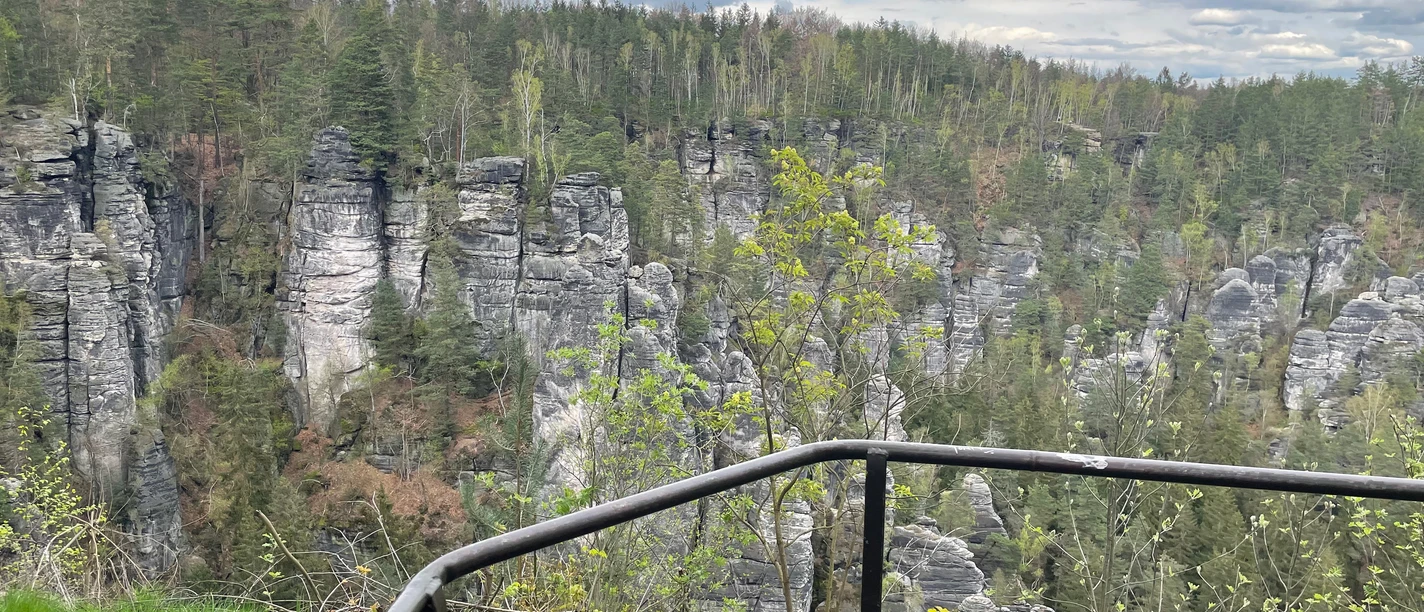 Uitzicht Wehlstein Uitzicht op een bebost rotslandschap met grijze kliffen en groene bomen, een zwarte reling op de voorgrond; bewolkte lucht.