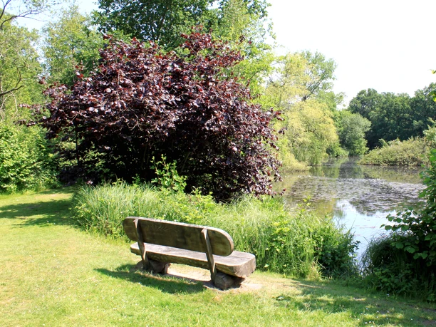Gemütliche Holzbank am Fintausee Gemütliche Holzbank am Fintausee