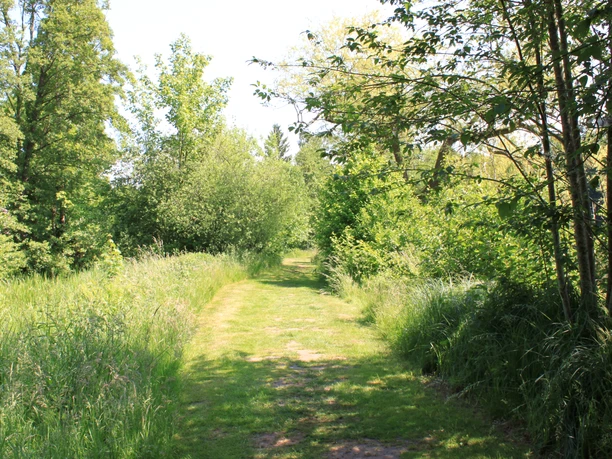 Weg durch das Naturschutzgebiet Oberes Fintautal Weg durch das Naturschutzgebiet Oberes Fintautal