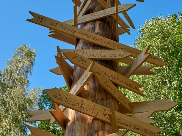 Forest Experience Centre Leupoldishain Wooden posts with numerous signposts pointing in different directions, surrounded by trees under a clear blue sky.