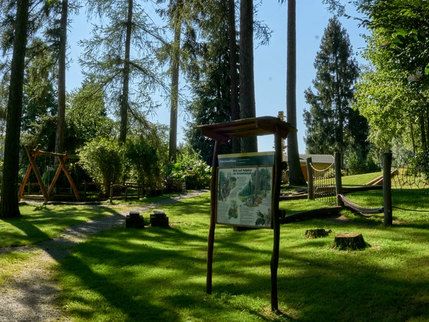 Walderlebniszentrum Leupoldishain Waldspielplatz mit Infotafel, Klettergerüst und Schaukel, umgeben von hohen Bäumen und grünem Gras bei sonnigem Wetter.