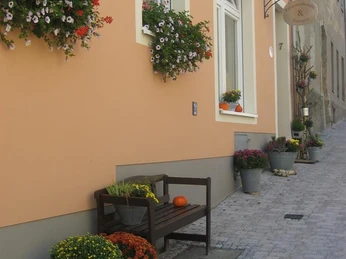 Blumenschmuck vor unserem Haus