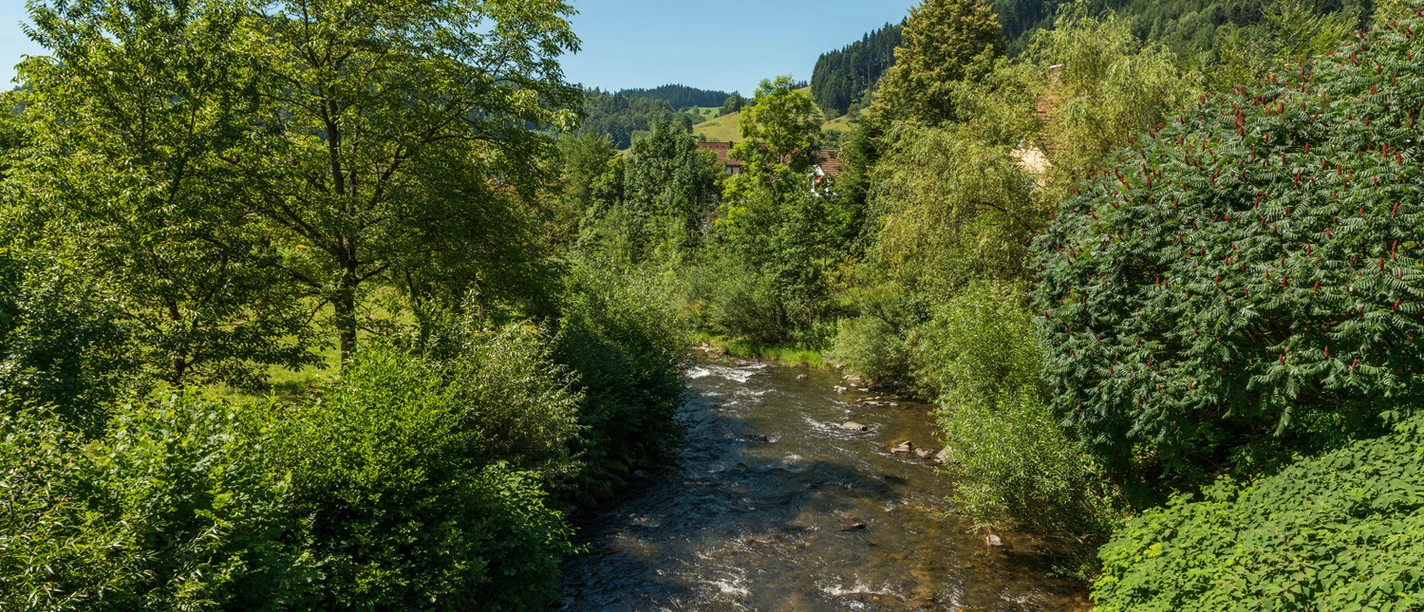 Angeln in Oberwolfach
