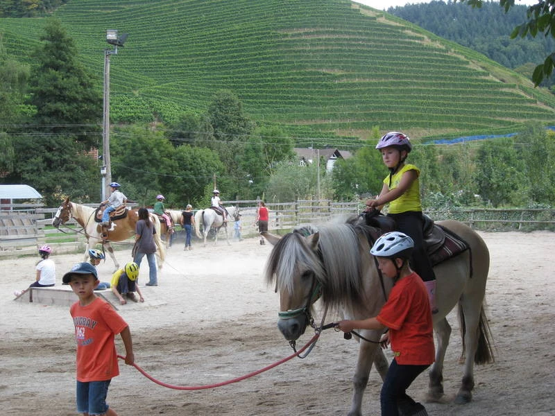 Durbach Ranch Pferde