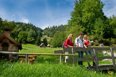 Wandern bei der Ebet-Mühle in Forbach