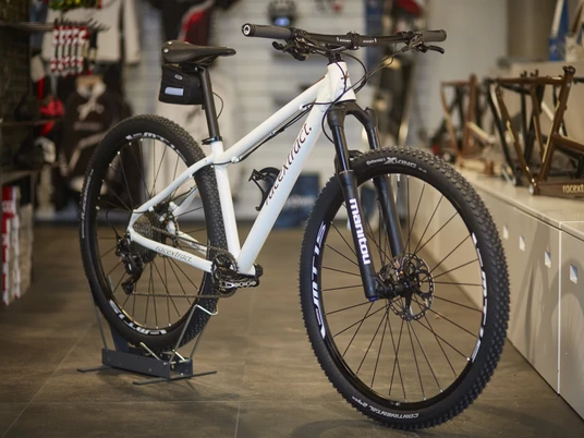 ritter_racextract_ebike_2MB4315