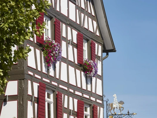 1_ritter_fassade__N3A4619