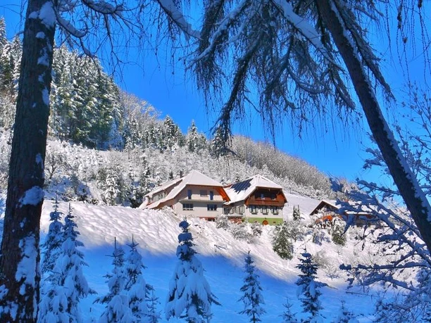 Schneebild vom Hof