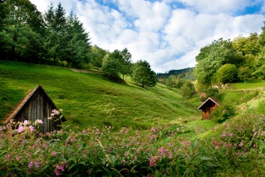 Heuhüttental bei Weisenbach